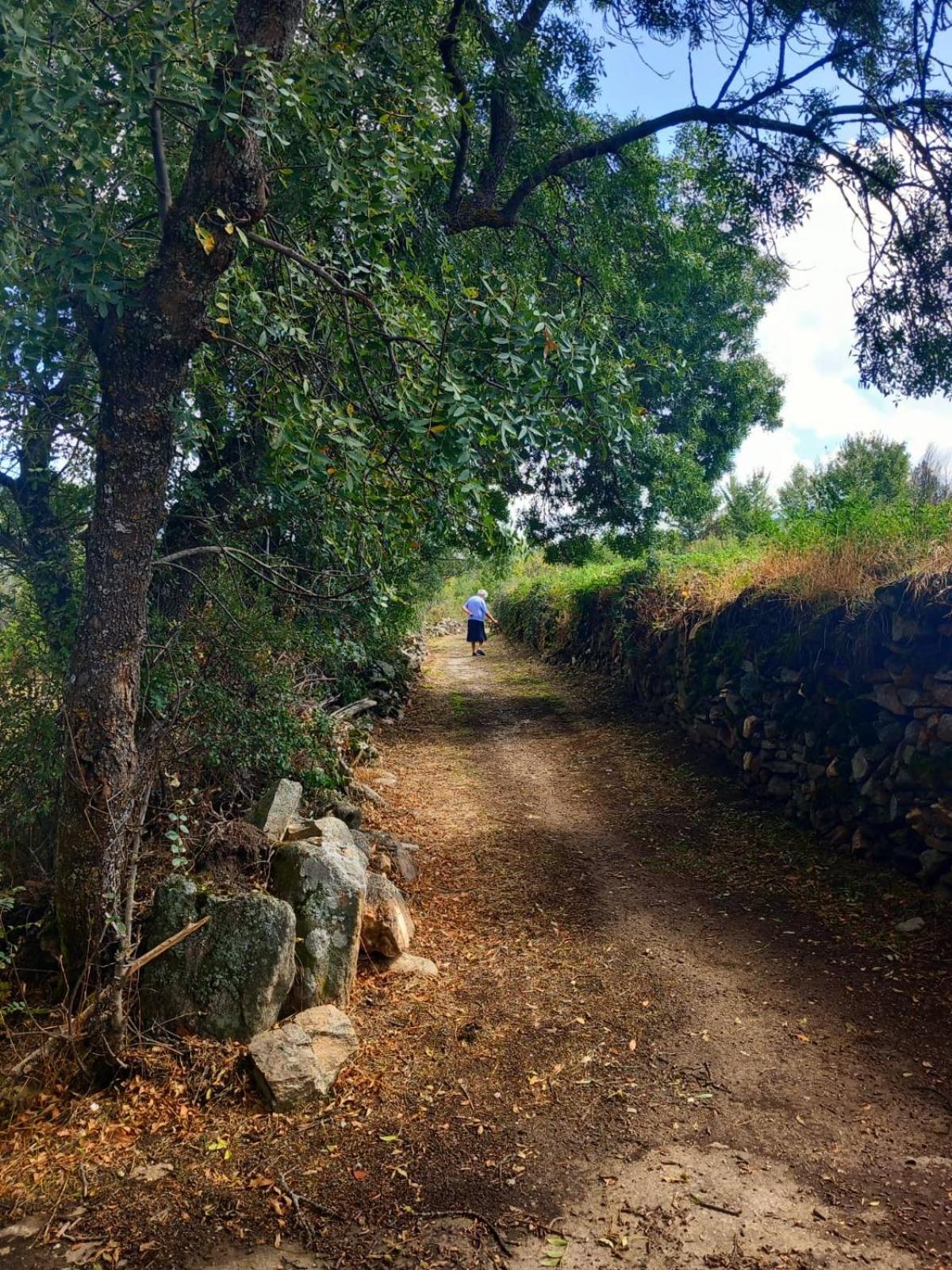 Al Viento, Alojamiento & Turismo Rural Pradena Del Rincon Ngoại thất bức ảnh